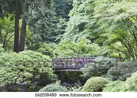 Stock Photo - A Japanese Garden. Fotosearch
