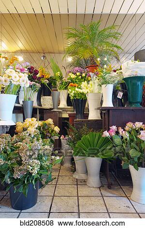 A small florists workshop with vases of fresh cut flowers View Large Photo Image Stock Photo - A small florists workshop with vases of fresh cut flowers. Fotosearch