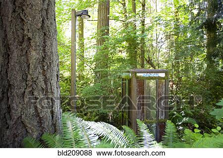 Stock Photo - Abandoned phone booth, Kopachuck State Park, Washington, United States. Fotosearch