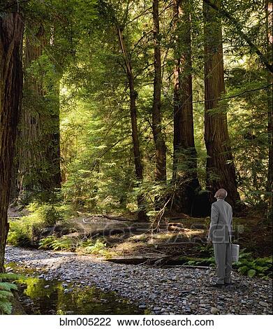 African American businessman walking in forest View Large Photo Image Stock Image - African American businessman walking in forest. Fotosearch