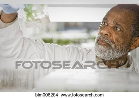 Picture - African American scientist working in laboratory. Fotosearch