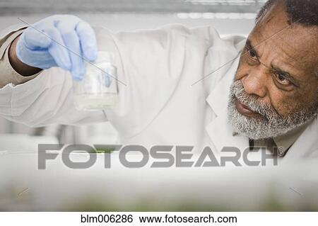 Stock Photograph - African American scientist working in laboratory. Fotosearch