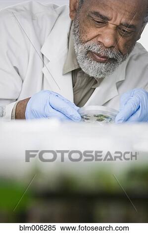 Stock Photography - African American scientist working in laboratory. Fotosearch