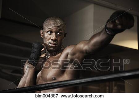 Stock Photo - African boxer punching in boxing ring. Fotosearch