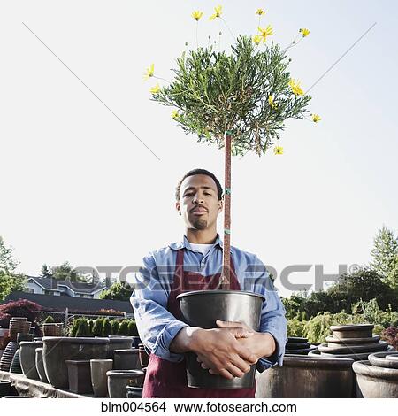 Picture - African man working in garden nursery. Fotosearch
