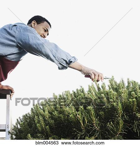 Stock Image - African man working in garden nursery. Fotosearch