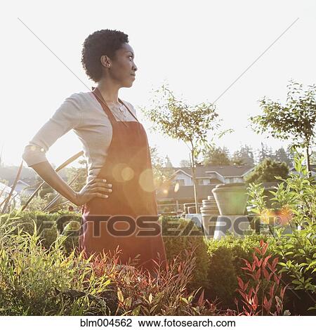 Stock Image - African woman working in garden nursery. Fotosearch
