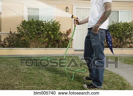 Alternative Hispanic man watering his lawn View Large Photo Image Stock Image - Alternative Hispanic man watering his lawn. Fotosearch