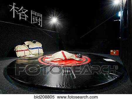 An indoor Sumo wrestling game View Large Photo Image Stock Photography - An indoor Sumo wrestling game. Fotosearch