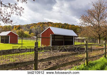 Stock Image - Barn on rural farm, Fairport, New York, United States. Fotosearch