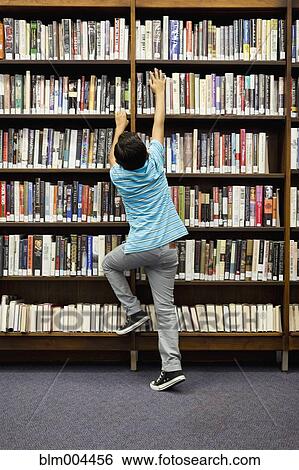 Boy reaching for book on library shelf View Large Photo Image Stock Photograph - Boy reaching for book on library shelf. Fotosearch