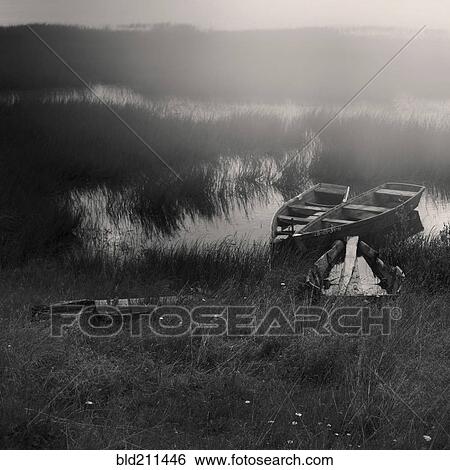 Stock Photograph - Canoes docked in tall grass in lake. Fotosearch