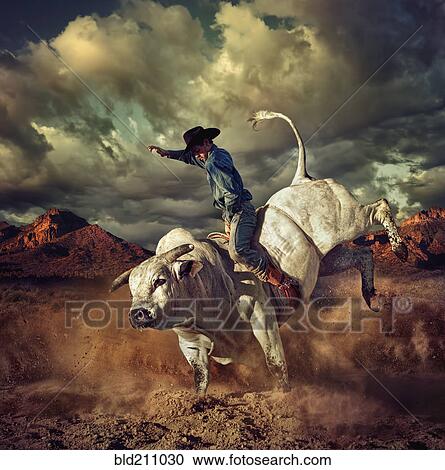 Caucasian cowboy riding bucking bull in desert View Large Photo Image Stock Image - Caucasian cowboy riding bucking bull in desert. Fotosearch