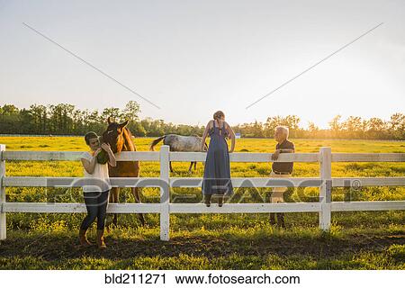 Caucasian family petting horses in rural landscape View Large Photo Image Stock Image - Caucasian family petting horses in rural landscape. Fotosearch