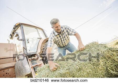 Stock Photograph - Caucasian farmer hauling hay bale. Fotosearch
