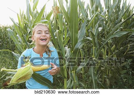 Stock Image - Caucasian girl eating corn in field. Fotosearch