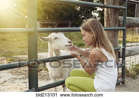 Stock Image - Caucasian girl petting goat at farm. Fotosearch