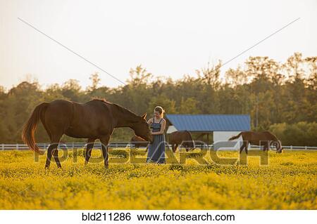 Caucasian girl petting horse in field View Large Photo Image Stock Photograph - Caucasian girl petting horse in field. Fotosearch