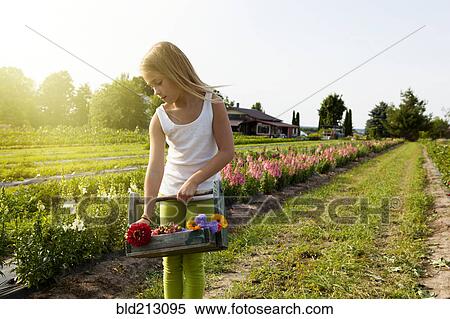 Stock Photography - Caucasian girl picking flowers on farm. Fotosearch