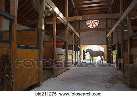 Stock Photography - Caucasian girl walking horse in stable. Fotosearch