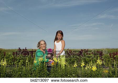 Stock Photo - Caucasian grandmother and granddaughter picking flowers on farm. Fotosearch
