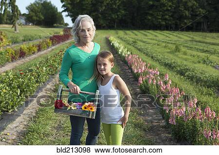 Stock Photo - Caucasian grandmother and granddaughter picking flowers on farm. Fotosearch