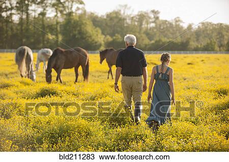 Stock Image - Caucasian man and granddaughter in field with horses. Fotosearch