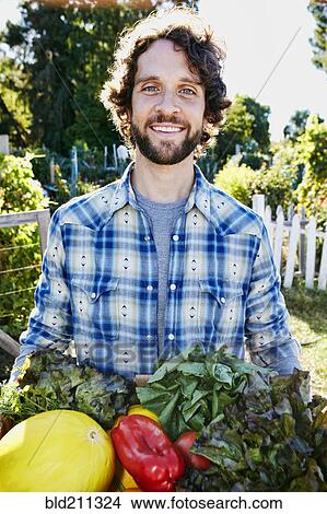 Picture - Caucasian man harvesting vegetables in garden. Fotosearch