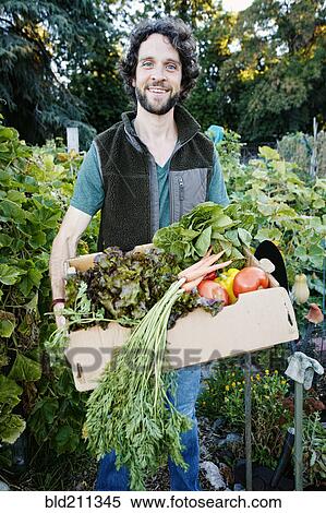 Caucasian man harvesting vegetables in garden View Large Photo Image Stock Photography - Caucasian man harvesting vegetables in garden. Fotosearch