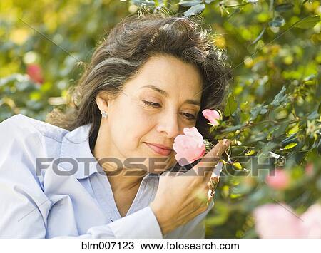 Caucasian woman smelling flower outdoors View Large Photo Image Stock Image - Caucasian woman smelling flower outdoors. Fotosearch