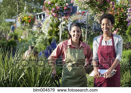 Stock Photo - Co-workers working in garden nursery. Fotosearch
