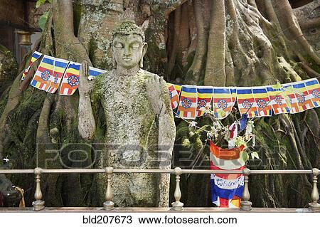 Colombo, Sri Lanka View Large Photo Image Stock Image - Colombo, Sri Lanka. Fotosearch
