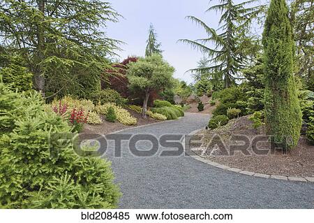 Conifer Garden in the Oregon Gardens View Large Photo Image Stock Photography - Conifer Garden in the Oregon Gardens. Fotosearch