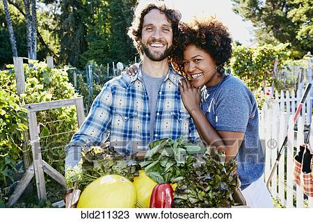 Stock Image - Couple harvesting vegetables in garden. Fotosearch