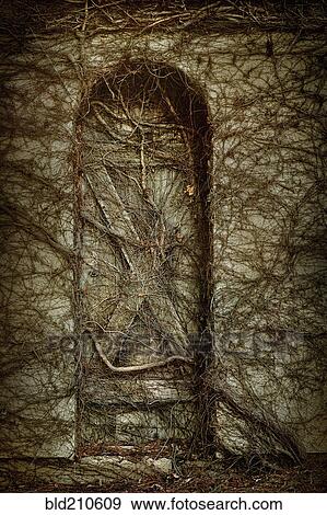 Dead vines covering door View Large Photo Image Stock Photo - Dead vines covering door. Fotosearch