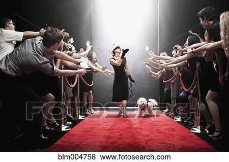 Elegant Caucasian woman with dog arriving on red carpet View Large Photo Image Stock Photo - Elegant Caucasian woman with dog arriving on red carpet. Fotosearch