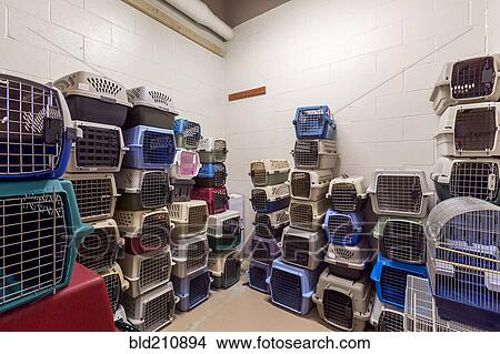Picture - Empty pet crates stacked in room in animal shelter. Fotosearch