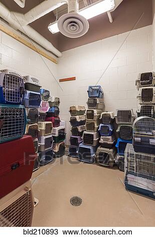 Stock Image - Empty pet crates stacked in room in animal shelter. Fotosearch