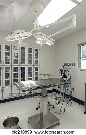 Stock Photo - Examining table in empty animal hospital. Fotosearch