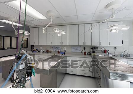 Examining tables in empty animal hospital View Large Photo Image Picture - Examining tables in empty animal hospital. Fotosearch