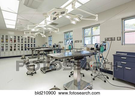 Stock Image - Examining tables in empty animal hospital. Fotosearch