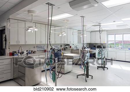 Examining tables in empty animal hospital View Large Photo Image Stock Image - Examining tables in empty animal hospital. Fotosearch