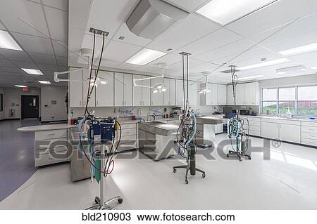 Examining tables in empty animal hospital View Large Photo Image Stock Image - Examining tables in empty animal hospital. Fotosearch