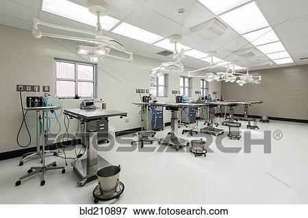 Stock Photo - Examining tables in empty animal hospital. Fotosearch