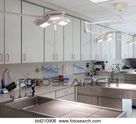 Examining tables in empty animal hospital View Large Photo Image Stock Photograph - Examining tables in empty animal hospital. Fotosearch