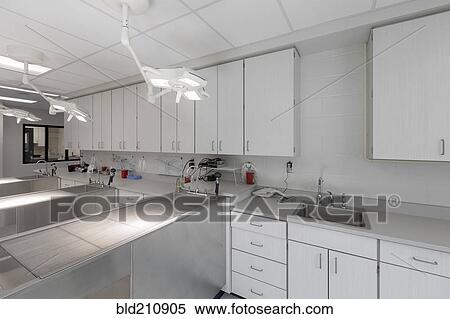 Examining tables in empty animal hospital View Large Photo Image Stock Photography - Examining tables in empty animal hospital. Fotosearch