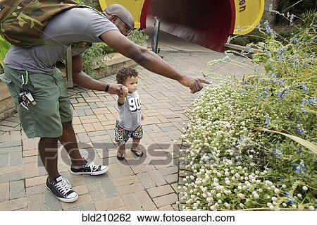 Father and toddler examining plants in park View Large Photo Image Stock Image - Father and toddler examining plants in park. Fotosearch