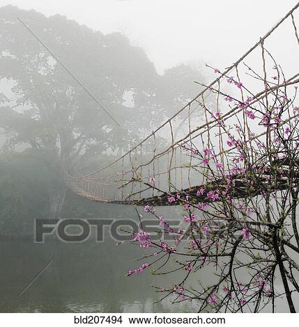 Picture - Footbridge Suspended Over a Foggy River. Fotosearch