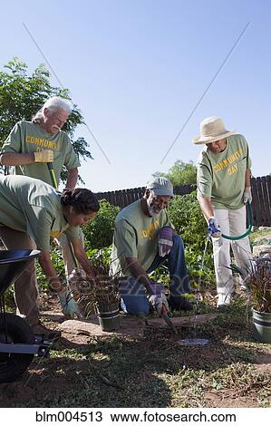 Friends planting community garden View Large Photo Image Stock Image - Friends planting community garden. Fotosearch