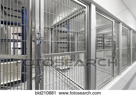 Stock Image - Glass viewing area windows of empty cages in animal shelter. Fotosearch